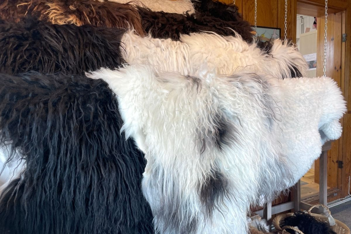 A close-up view of fluffy, natural sheepskin pelts in various colors, including long-haired black and white, and a speckled black and white pelt, hanging in a market stall.