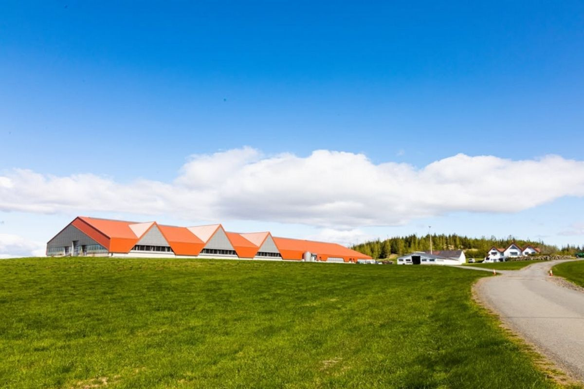 Hreppamjólk's long dairy farm buildings on a green hill.