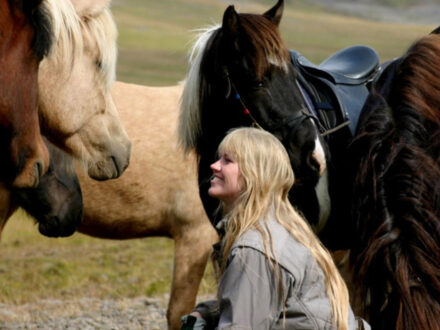 A blonde woman smiling up at an Icelandic horse with a saddle, surrounded by other horses.