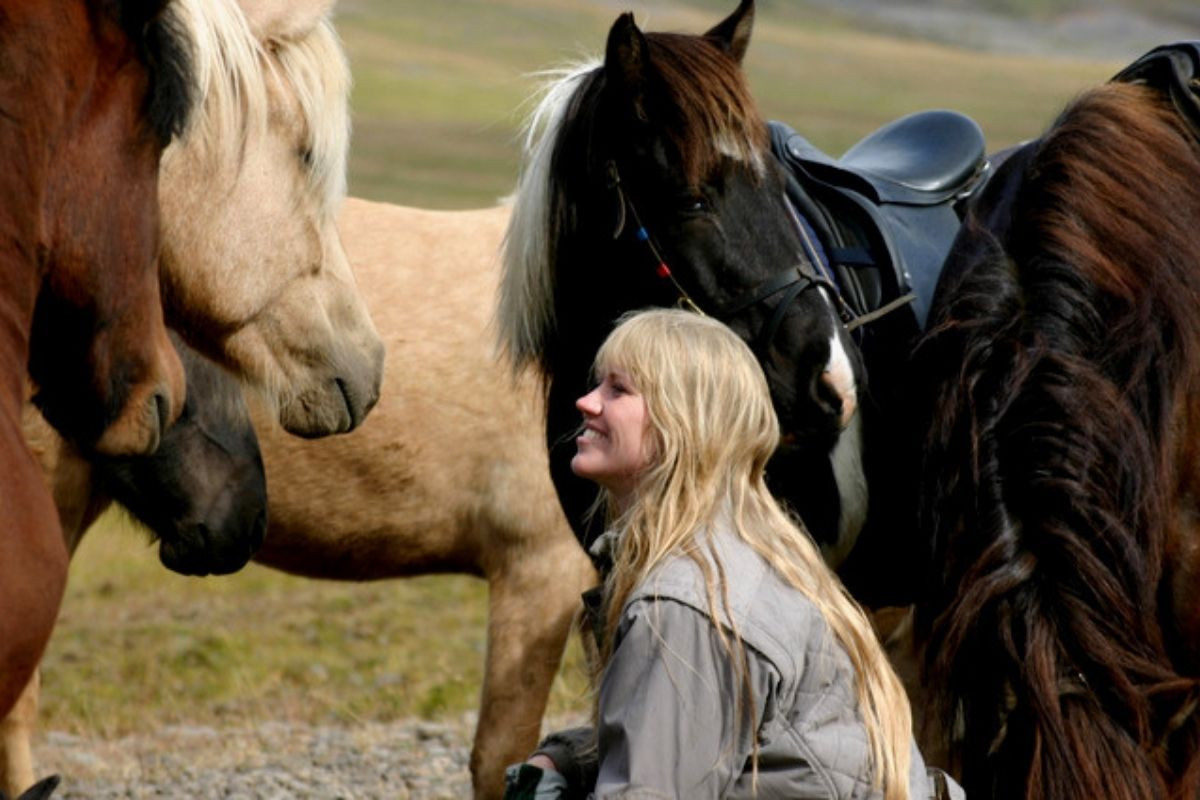 A blonde woman smiling up at an Icelandic horse with a saddle, surrounded by other horses.