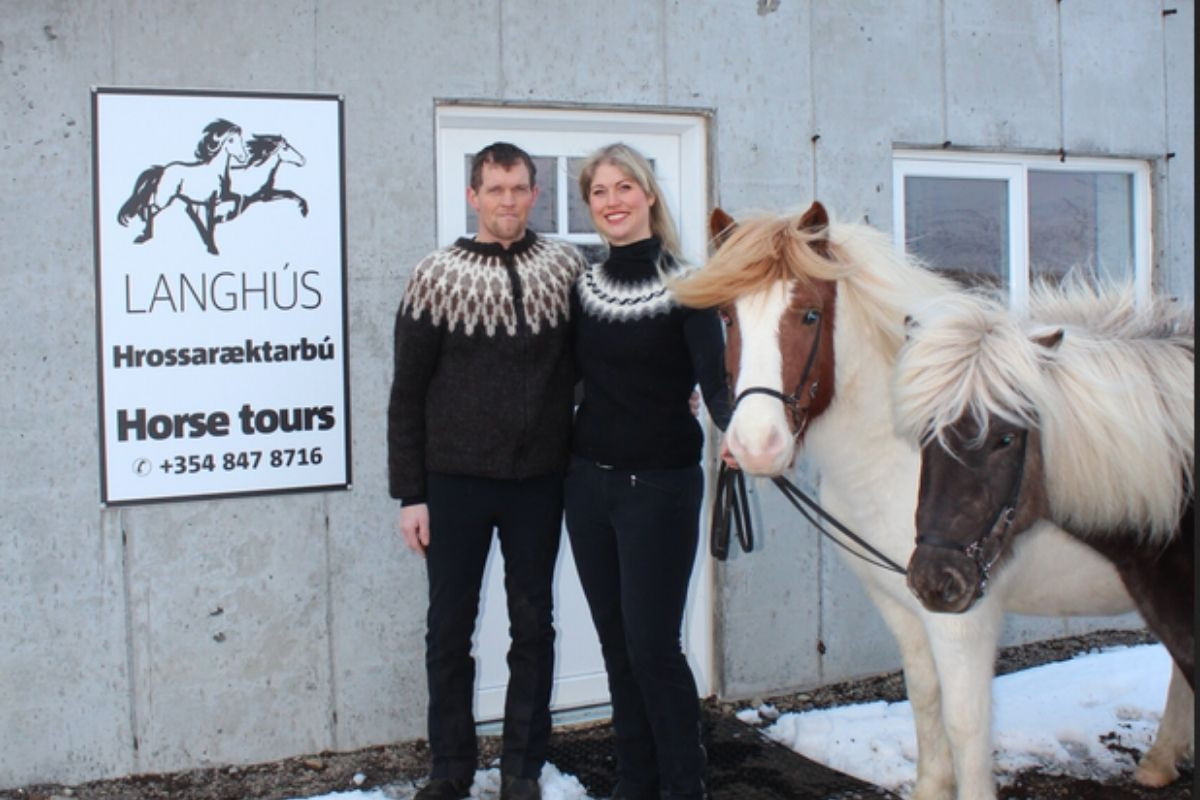 A man and a woman in Icelandic sweaters standing next to two Icelandic horses in front of a building with a 
