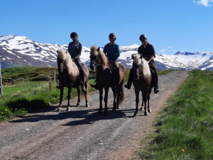 Horseback riding tour with three people on horses in a scenic, mountainous landscape.