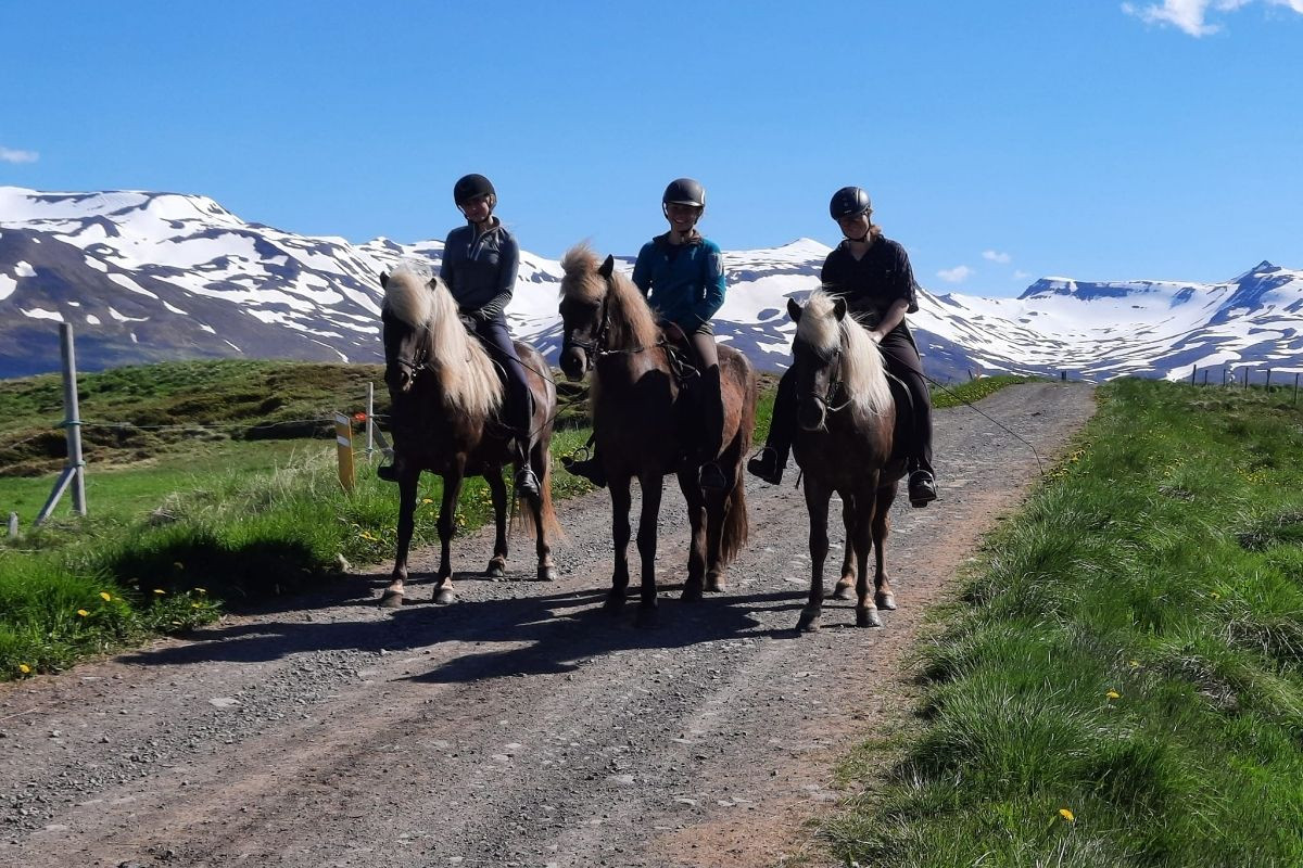 Horseback riding tour with three people on horses in a scenic, mountainous landscape.