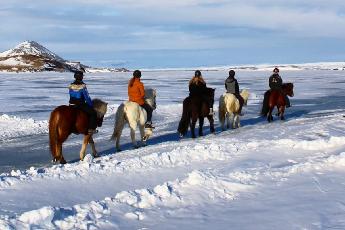 Horseback riding tour in a winter Icelandic landscape.