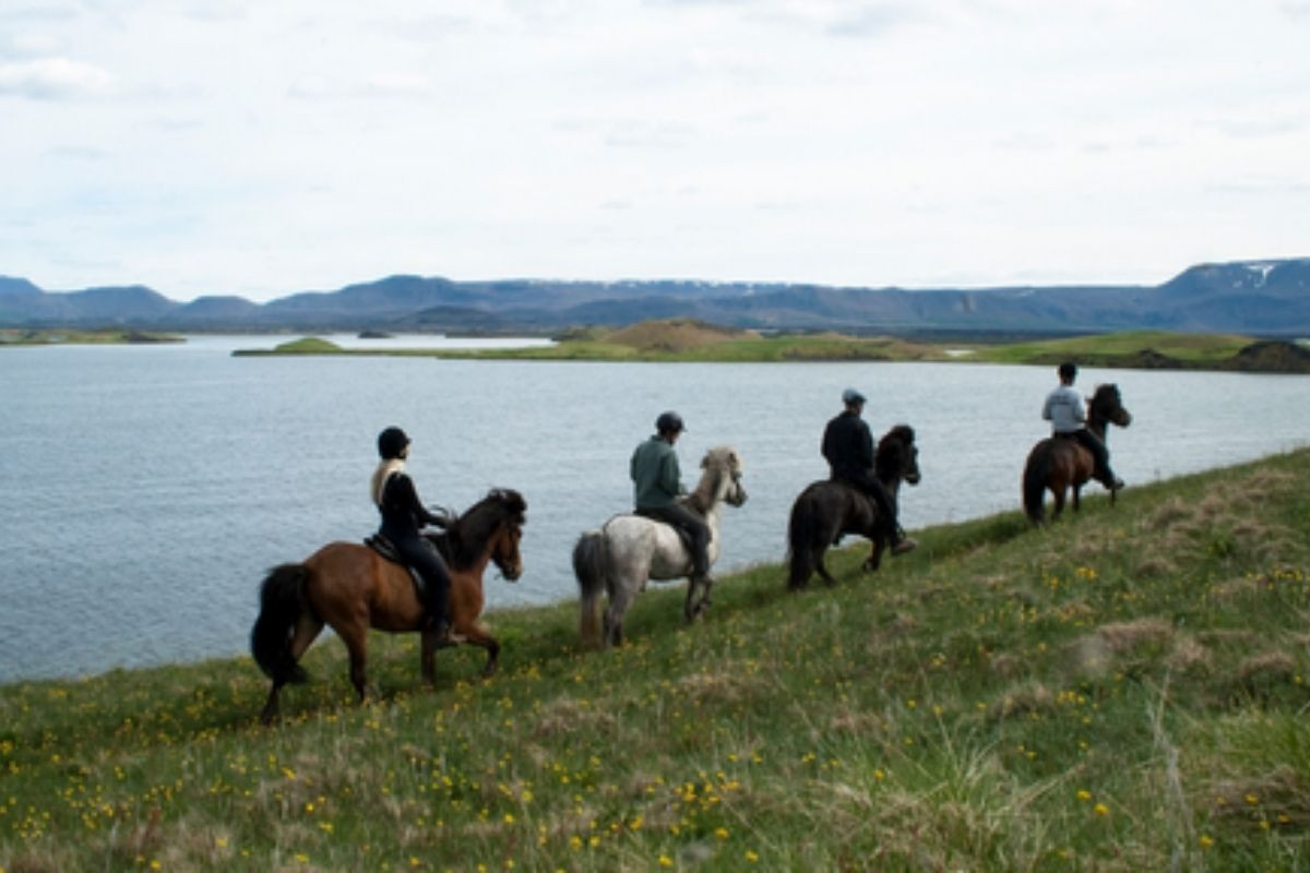 A line of five riders on Icelandic horses ascending a grassy hill overlooking a calm lake and distant mountains, showcasing a scenic horse riding tour by Safari Hestar.