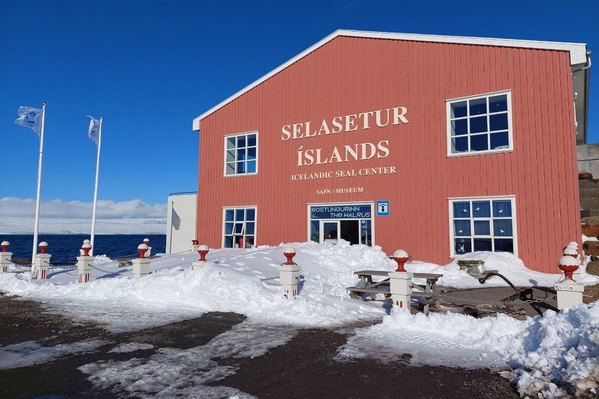 The exterior of the red Selasetur Íslands - Icelandic Seal Center building in winter, surrounded by snow with flags flying and a blue sky in the background.