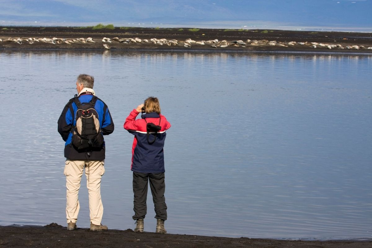 Two people, one using binoculars, observing a large group of seals hauled out on a distant shoreline across a body of water, indicating seal watching near Selasetur.