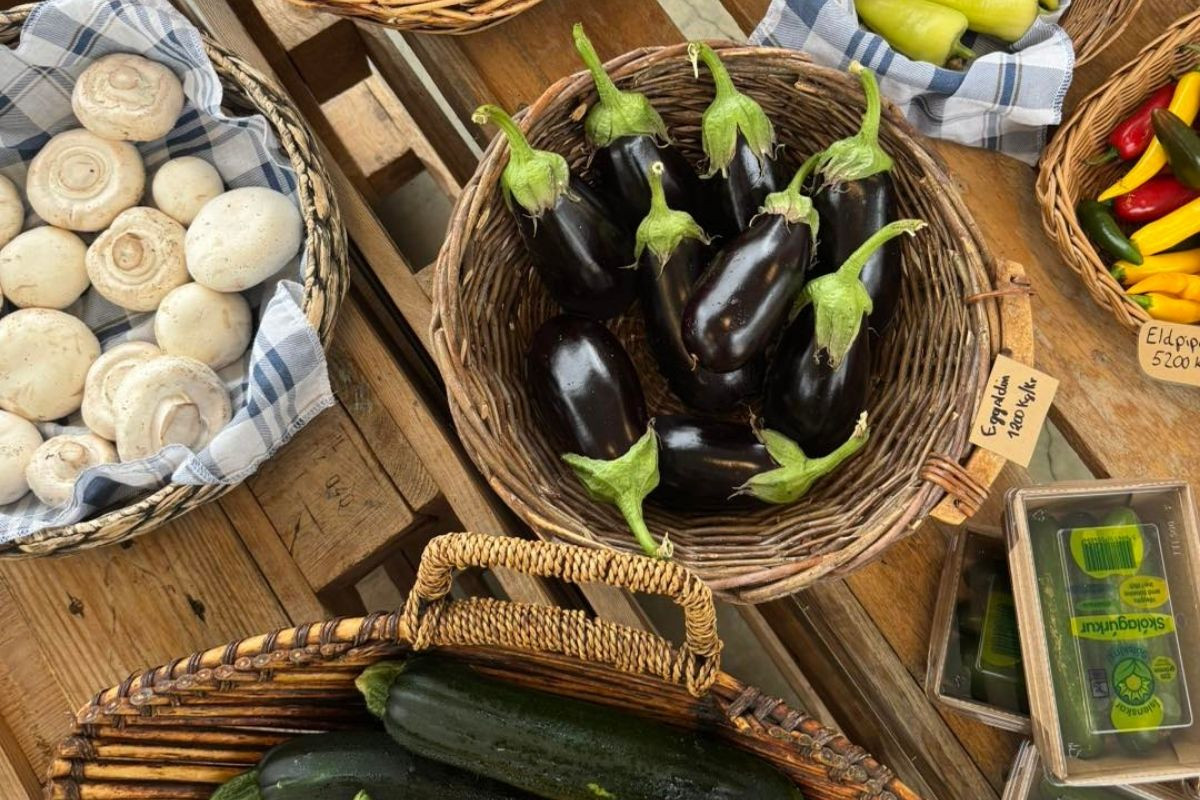 Baskets filled with fresh, vibrant produce including white mushrooms, dark purple eggplants, and colorful bell peppers at Sólskinsbúðin Farmers Market.