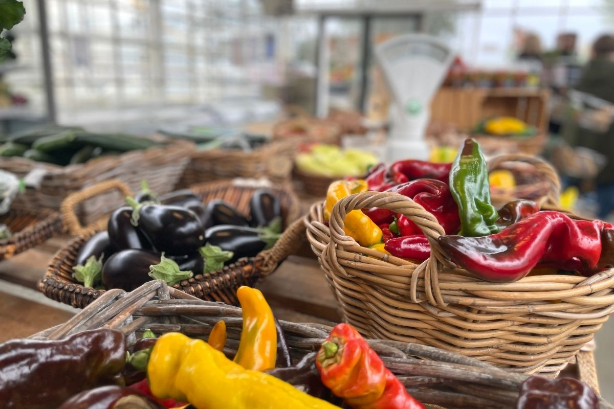 A close-up view of baskets and piles of fresh, colorful vegetables including red, yellow, and green peppers, and dark purple eggplants at a farmer's market.