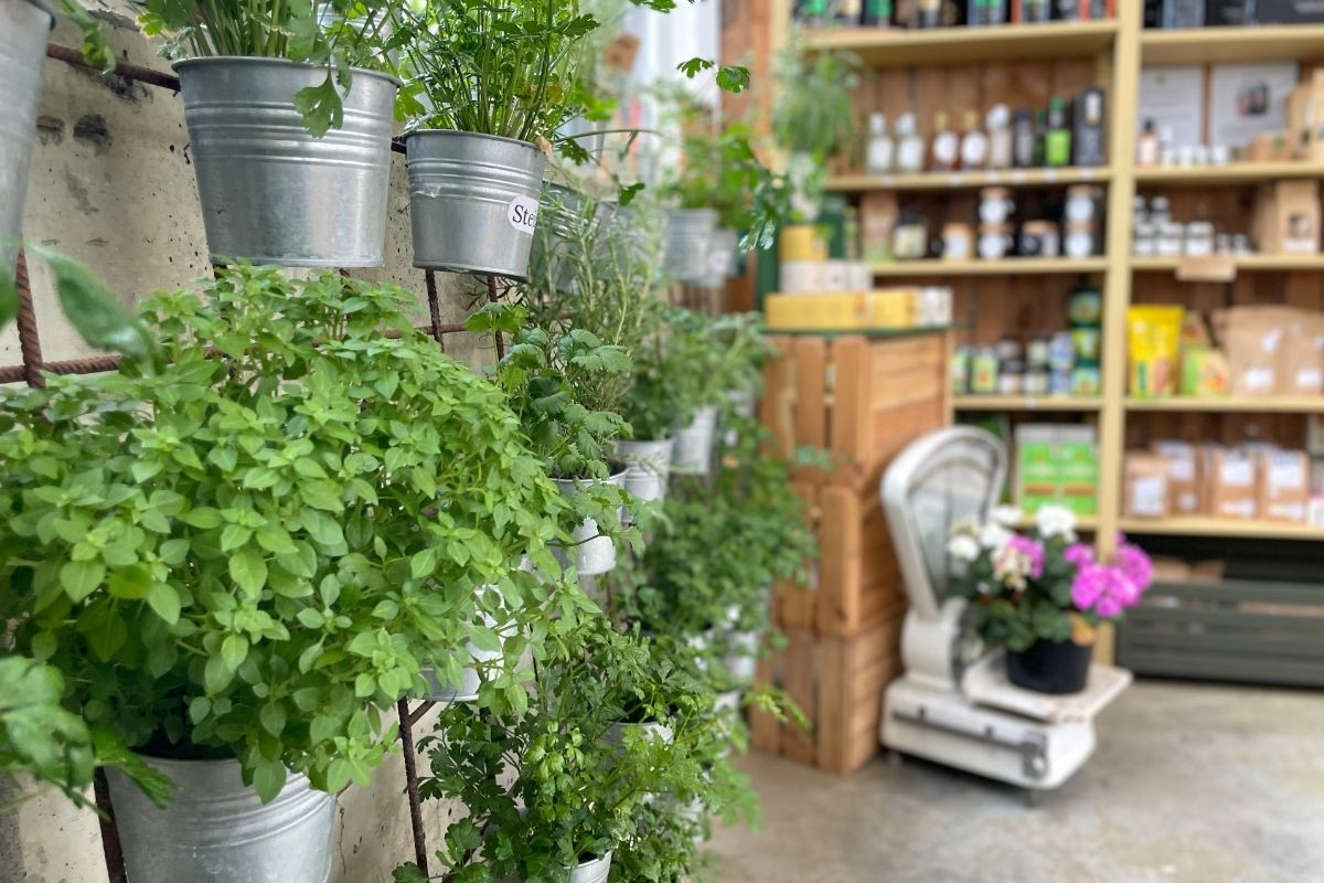 Potted green herbs in metal buckets hang vertically on a wall, with a variety of products and a vintage white scale in a blurred background on the right.